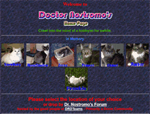 Tablet Screenshot of drnostromo.com